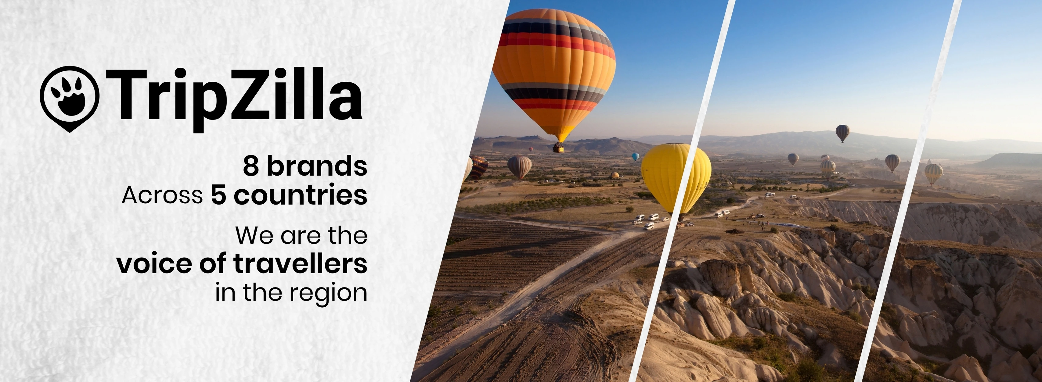 Tripzilla Home Banners with 8 Brands across 8 Countries